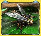 mon puzzle 3d  Puzzle 3D Métal abeille