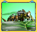 mon puzzle 3d  Puzzle 3D Métal abeille