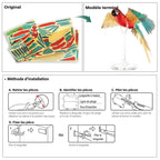 mon puzzle 3d  Puzzle 3D Métal perroquet